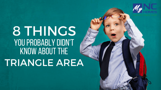 8 Fun Facts About The Triangle Area